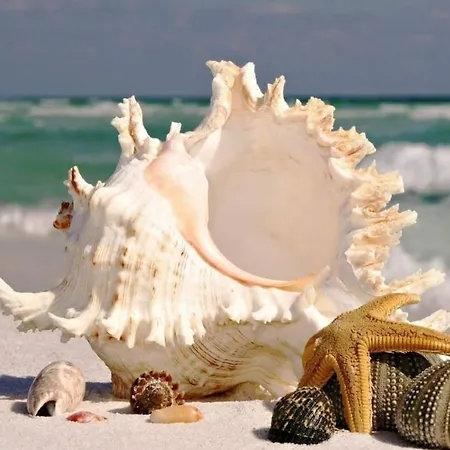 アパート Bbr26- Sea View First Line Sarafovo ブルガス