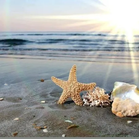 Bbr26- Sea View First Line Sarafovo * 부르가스