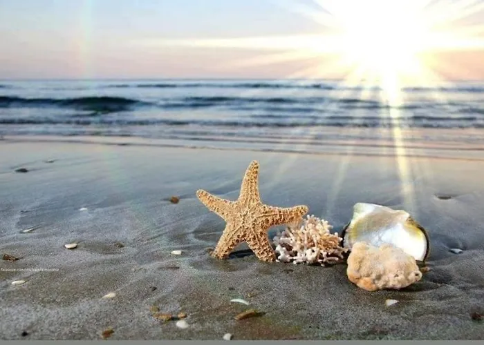 Bbr26- Sea View First Line Sarafovo * 부르가스