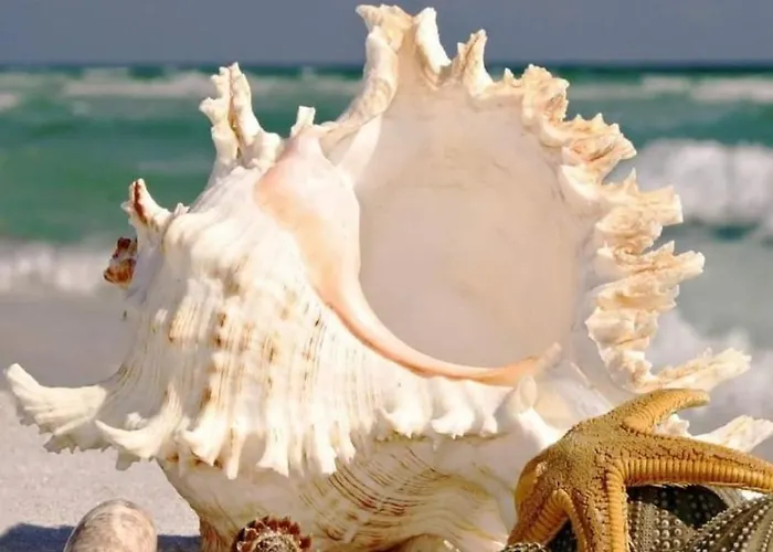 아파트 Bbr26- Sea View First Line Sarafovo 부르가스